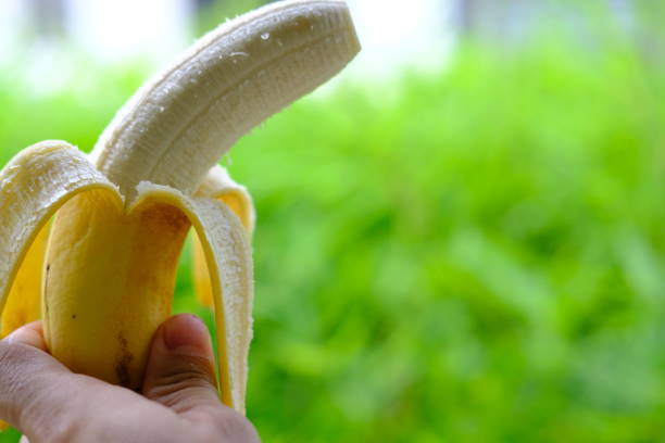 istock Close up fresh banana on green background 1162163471
