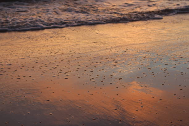 istock Beautiful sunset of Glenelg beach 1162164148