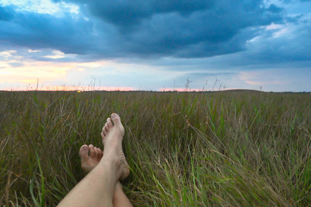 Two legs in the grasslands under the clouds.
