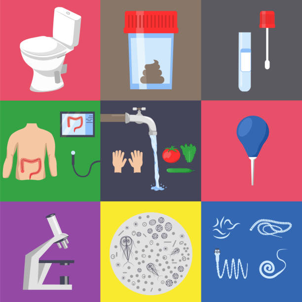 Feces or stool test analysis in vector Feces or stool test analysis. Color vector icons set. Medical examination. Laboratory equipment and microbiology giardia lamblia stock illustrations