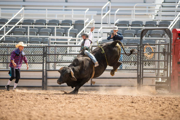istock Cowboy Bull Riding in Rodeo Arena 1162166547