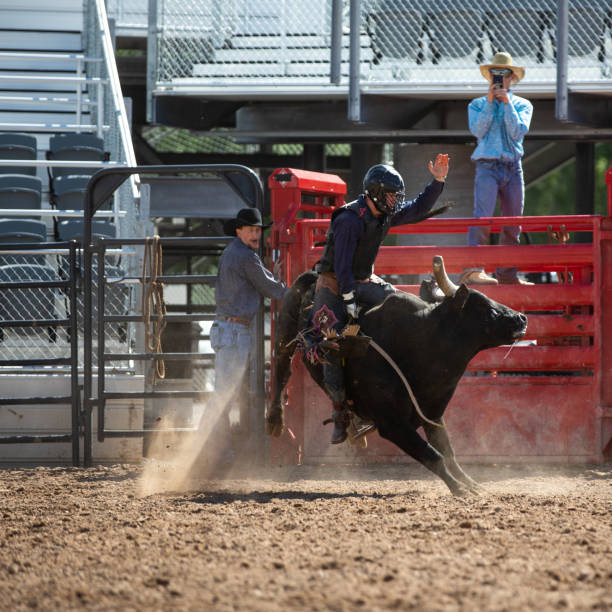 istock Cowboy Bull Riding in Rodeo Arena 1162166811