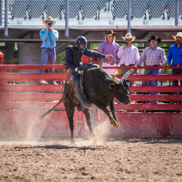 istock Cowboy Bull Riding in Rodeo Arena 1162167026