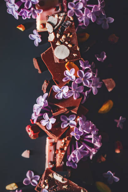 ライラックとチョコレートの暗い背景。ミルクとダークチョコレートのスライスピーナッツ、ピスタチオ、ドライラズベリー - chocolate chocolate candy dark chocolate directly above ストックフォトと画像