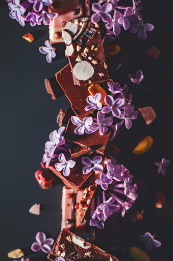 Dark background with lilac and chocolate. Slices of milk and dark chocolate with peanuts, pistachios and dried raspberries.