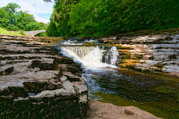 cachoeira da força de stainforth no rio ribble nos dales de yorkshire - ribble - fotografias e filmes do acervo