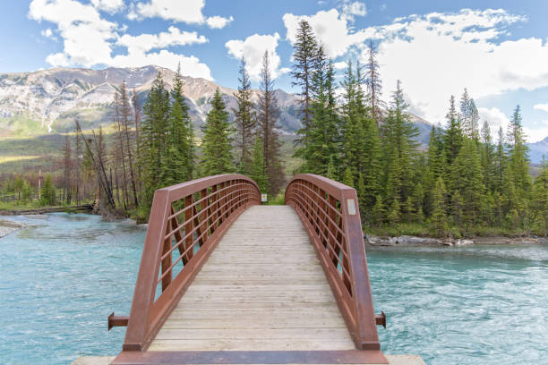 istock front view of a brown foot bridge 1162168844