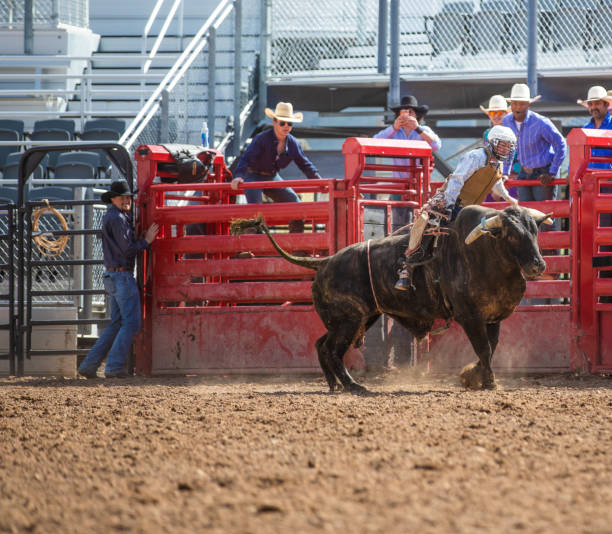 istock Cowboy Bull Riding in Rodeo Arena 1162168853