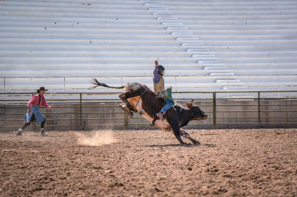 Cowboy Bull Riding in Rodeo Arena Cowboy Bull Riding in Rodeo Arena bull riding bull bullfighter cowboy hat stock pictures, royalty-free photos & images