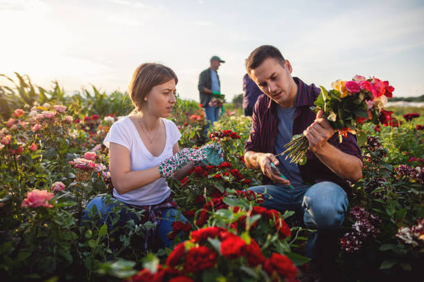 istock Intern gardening couple making a bouquet 1162174570
