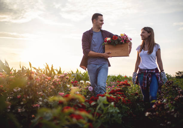 istock Spring is the season when love blooms 1162174571