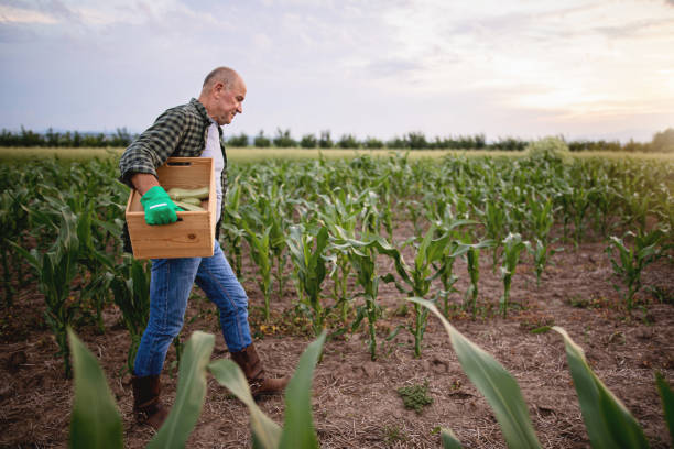 agricultor cansado que se va después de un día de duro trabajo - leaving business landscape men fotografías e imágenes de stock