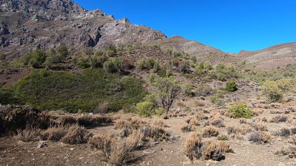 istock Landscape of mountain range and valley 1162176663