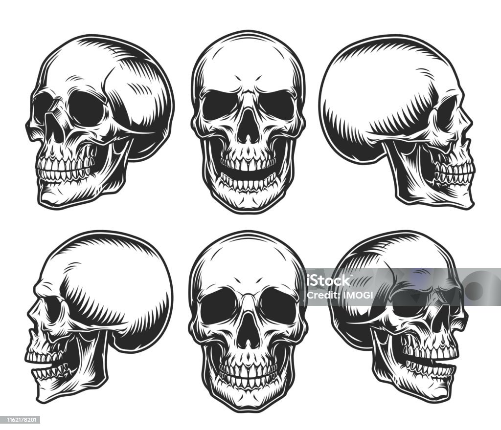Koleksi Tengkorak Manusia Ilustrasi Stok - Unduh Gambar Sekarang