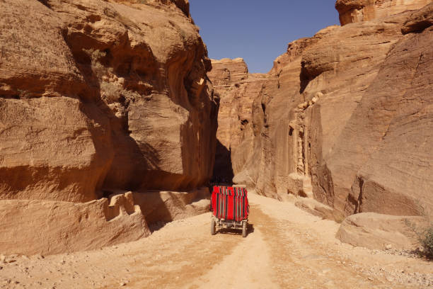 istock Donkey carriage in Petra 1162178220