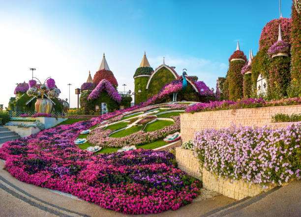 Dubai Miracle Garden The Village Of Flowers Stock Photo - Download Image Now - Dubai, Flower, Art - iStock