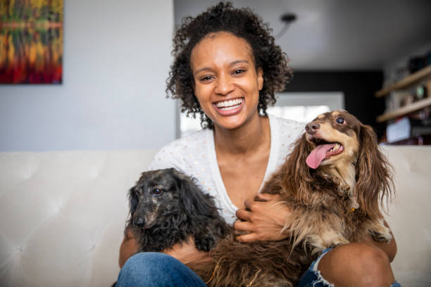 young black woman with pet dachshunds - dog dachshund pets close up imagens e fotografias de stock