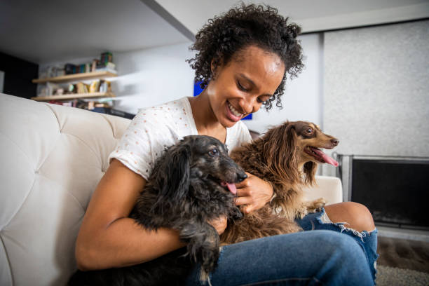 istock Young Black Woman with Pet Dachshunds 1162180432