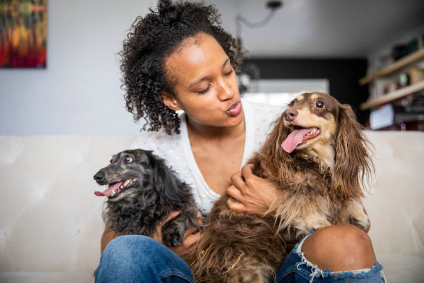 istock Young Black Woman with Pet Dachshunds 1162180462