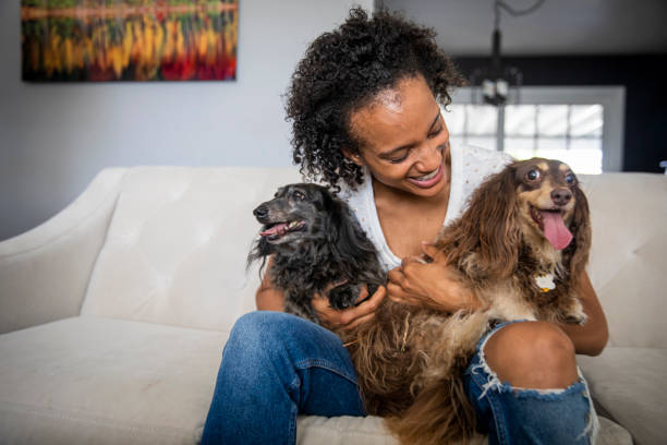 istock Young Black Woman with Pet Dachshunds 1162180503