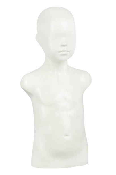 istock Children's white half-length mannequin boy 1162183609