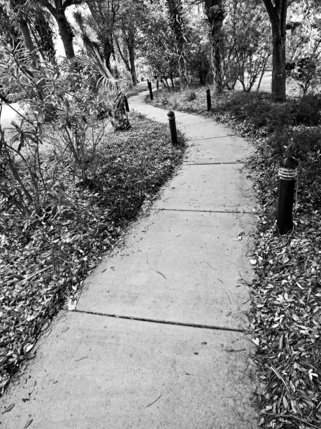 istock Pathway in Gulf Shores AL 2 B&W 1162186641