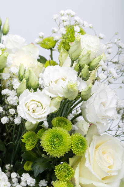 istock Close up of white roses 1162188441