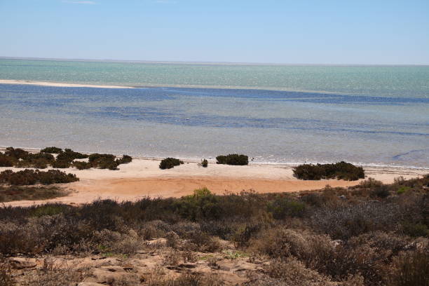 istock Holiday in  Denham in Western Australia 1162191731