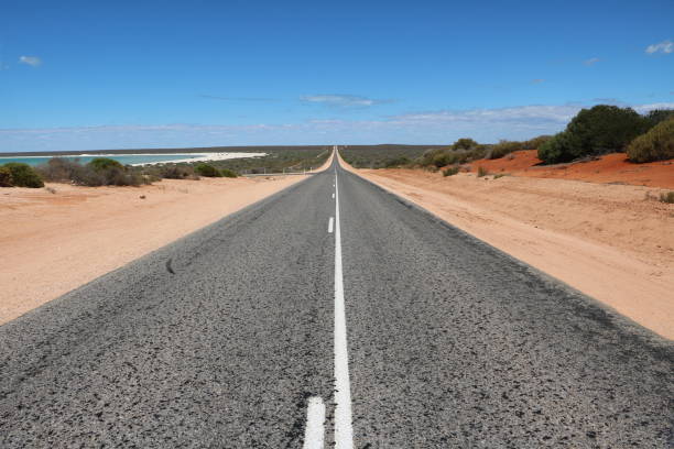 langer und gerader weg zum shell beach in der shark bay region, western australia - cockle nature outdoors horizontal stock-fotos und bilder