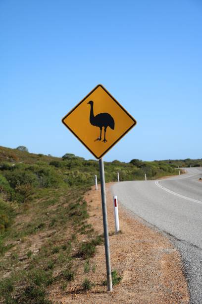 istock Attention Emu Traffic Sign in Australia 1162191902