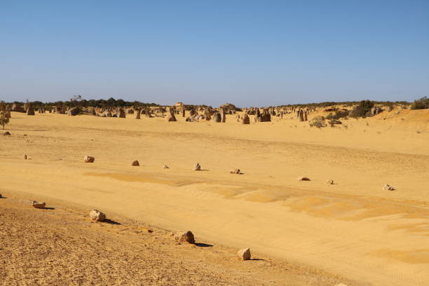 istock Way through the Pinnacles Desert in Western Australia 1162193020