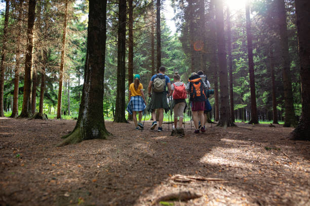 istock Summer outdoor adventures 1162196439