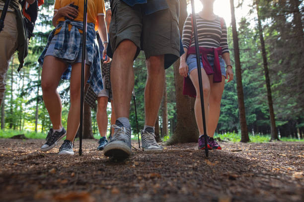 istock Group of hikers walking out in the forest 1162196523