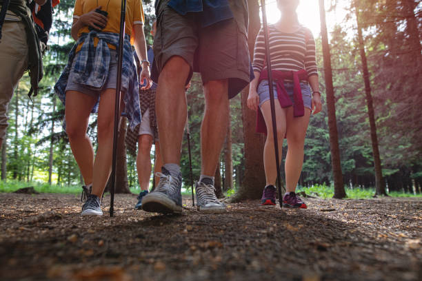 istock Making small steps, one by one, can get you anywhere 1162196524