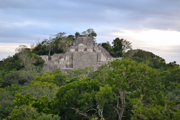istock A Maya Pyramid covered by rain forest at Calakmul (Mexico) 1162198111