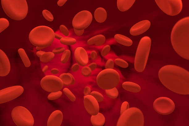 istock blood under the microscope, red blood cells moving through the vein, 3d rendering 1162200207