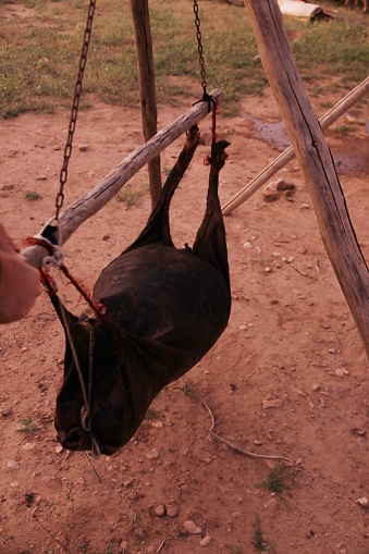 container, goat skin, hanging, construction, nomadic people, camp, Simplicity, nature