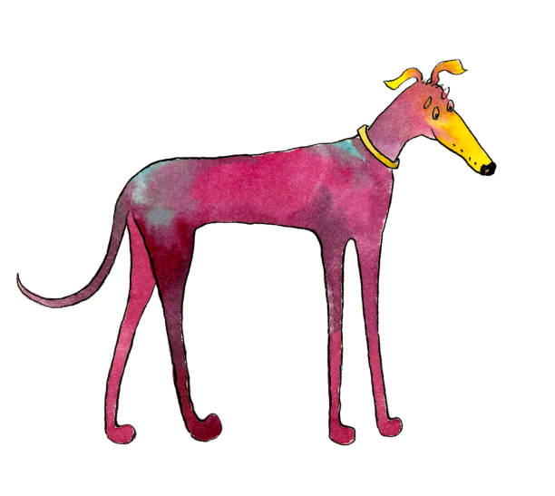 ilustrações, clipart, desenhos animados e ícones de galgo raça cão estilizado vista lateral cor rosa - dachshund dog white background hunting dog