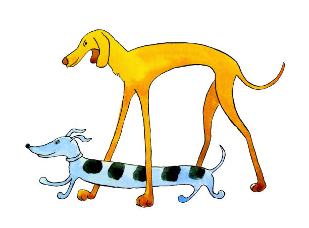 dwa psy jamnik i chart iść na spacer. ilustracja akwarela na białym tle - dachshund dog white background hunting dog stock illustrations