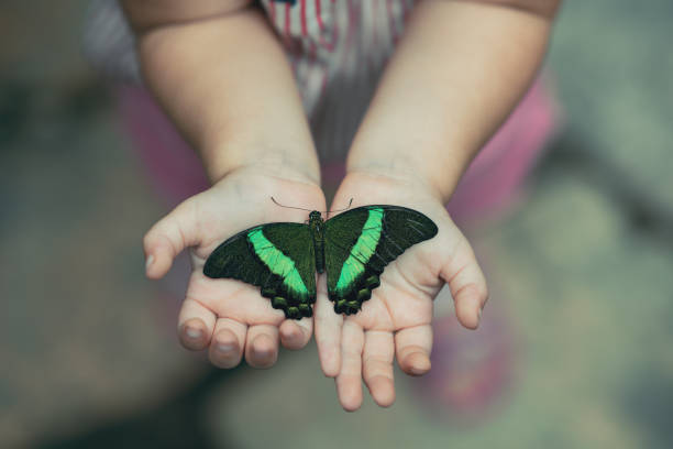 istock Butterfly on woman's hand against natural green background. 1162201809