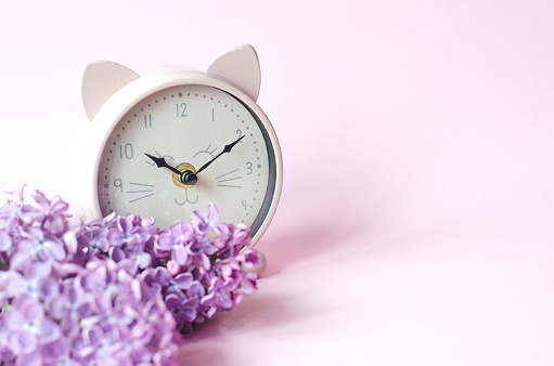 Pink alarm clock in the form of a cat lies on a bouquet of lilac on a pink background.