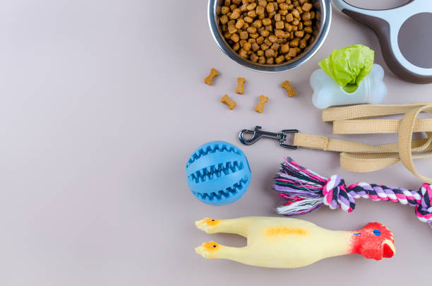 コピースペース付きペット、リード、おもちゃ用乾燥食品 - domestic cat bag shopping gift ストックフォトと画像
