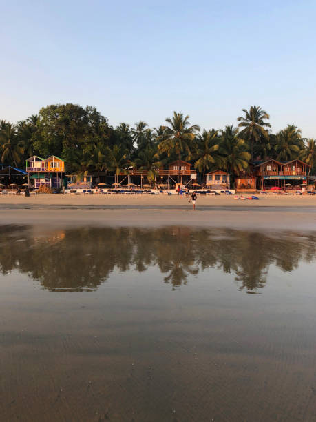 Palolem Beach, Goa, India - November, 28 2018: Stock photo of beach hut shack under tropical coconut palm tree at Palolem Beach, Goa, India. Sunbathers on holiday vacation sun loungers, holidaymakers swimming in sea, kayaks, canoes, fishing boats and parasol umbrellas. imagen de la puesta de sol rosa en palolem beach, goa, india, con palmeras de coco, bañistas en tumbonas de vacaciones, casas en los árboles y cabañas de playa de madera / chalets, restaurantes y bares, turistas que se relajan bajo sombrillas en el para