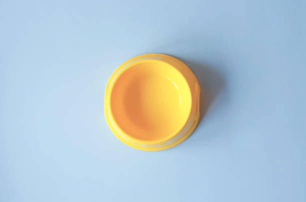 istock One empty pet yellow bowl on an orange background. 1162205656