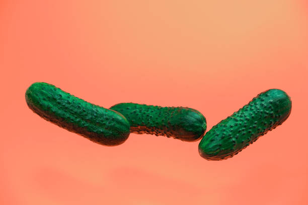 istock Beautiful three cucumber on living coral background. Creative concept. 1162205859