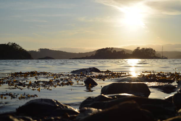 istock Sunset over the sea 1162206812