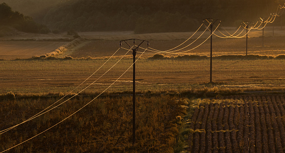 Telegraph or telephone wires in a rural world