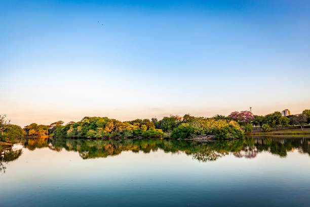 sao jose do rio preto city. panoramablick auf den seepark bei sonnenuntergang - coutryside stock-fotos und bilder