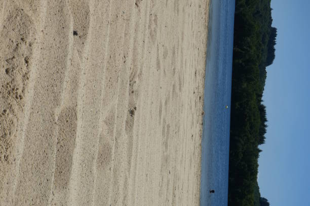 istock Saint-pardoux pond in Haute-vienne 1162208147