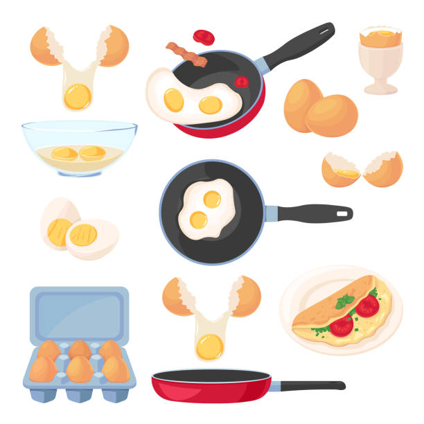 illustrazioni stock, clip art, cartoni animati e icone di tendenza di set di elementi di design delle uova, isolato su sfondo bianco. pasto vettoriale per la colazione, materie prime e processo di cottura - eggs animal egg cracked egg yolk